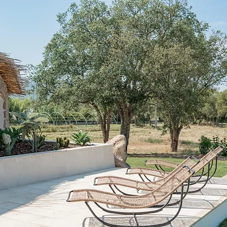 Super Lusso E Design Con Piscina Villa San Pantaleo